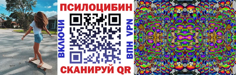 Галлюциногенные грибы Psilocybe где купить наркотик площадка наркотические препараты Тейково